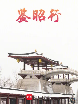 《鉴昭行》小说封面