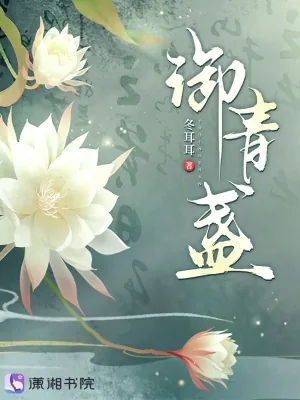 《御青盏》小说封面