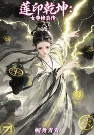 《莲印乾坤》小说封面