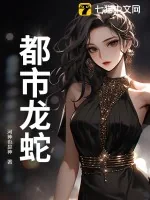 《都市龙蛇》小说封面