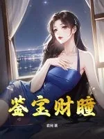 《鉴宝财瞳》小说封面