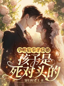 《孕吐后奉子成婚：孩子是死对头的》小说封面