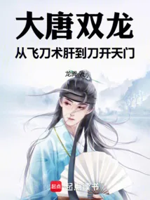 《大唐双龙:从飞刀术肝到刀开天门》小说封面