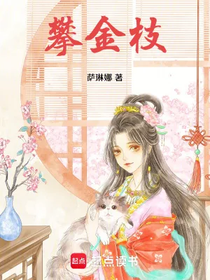 《攀金枝》小说封面