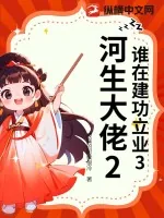 《谁在建功立业3河生大佬2》小说封面