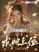 《娇妾勾人妩媚，帝王求她上位》小说封面