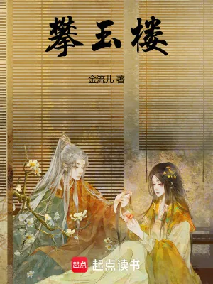 《攀玉楼》小说封面