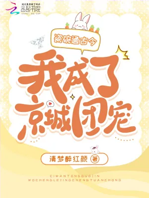 《瓷碗通古今,我成了京城团宠》小说封面