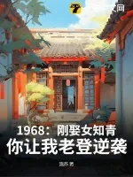 《1968：刚娶女知青，你让我老登逆袭？》小说封面