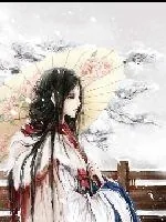 《穿越王妃有点闲》小说封面