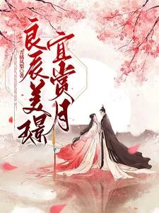 《良辰美璟，宜赏月》小说封面