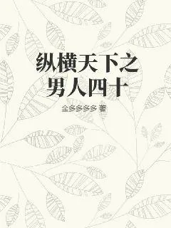 《纵横天下之男人四十》小说封面