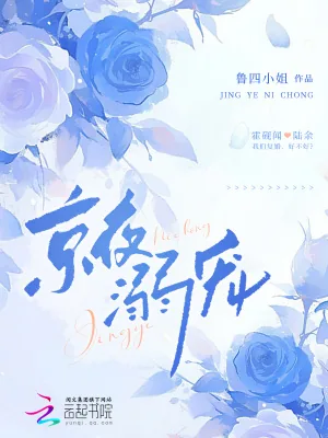 《京夜溺宠》小说封面