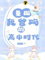 《重回我爸妈的高中时代》小说封面
