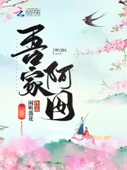 《吾家阿囡》小说封面