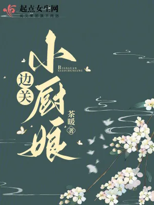 《边关小厨娘》小说封面