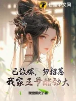 《已改嫁,勿招惹!我家王爷醋劲大》小说封面