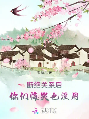 《断绝关系后，你们悔哭也没用》小说封面