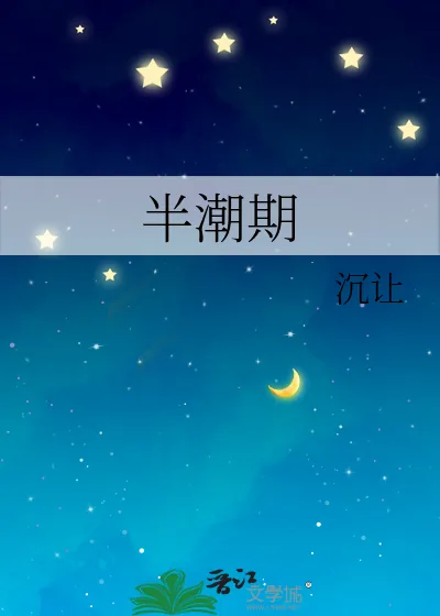 《半潮期》小说封面