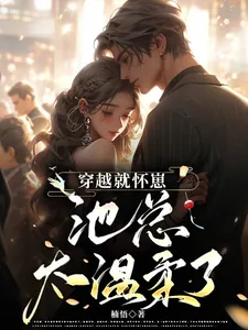 《穿越就怀崽,池总太温柔了》小说封面
