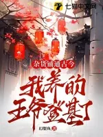《杂货铺通古今:我养的王爷登基了》小说封面