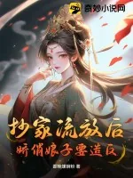 《抄家流放后，娇俏娘子要造反》小说封面