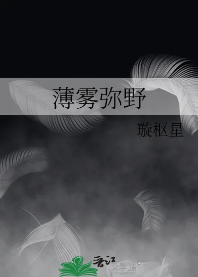 《薄雾弥野》小说封面