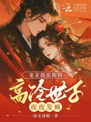 《宠妾揣崽跑路,高冷世子夜夜发疯》小说封面