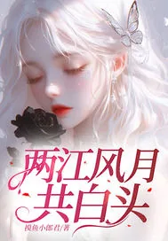《两江风月共白头》小说封面