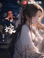 《再嫁》小说封面