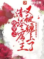 《快穿之清冷宿主又被缠上了》小说封面