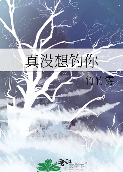 《真没想钓你》小说封面