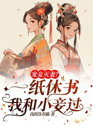 《宠妾灭妻?她一纸休书和小妾过》小说封面