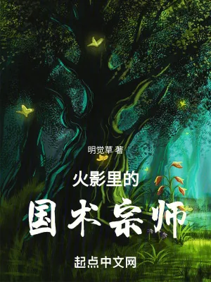 《火影里的国术宗师》小说封面