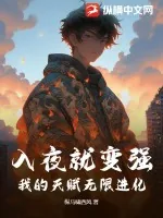 《入夜就变强，我的天赋无限进化》小说封面