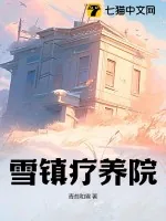 《雪镇疗养院》小说封面