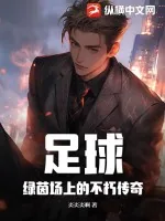 《足球:绿茵场上的不朽传奇》小说封面
