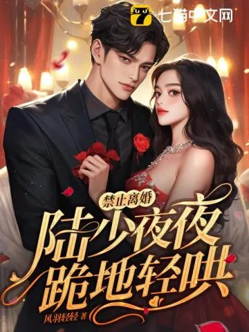 《禁止离婚!陆少夜夜跪地轻哄》小说封面