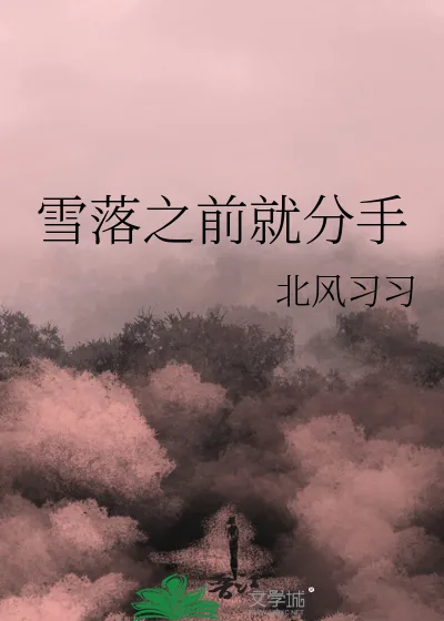 《雪落之前就分手》小说封面