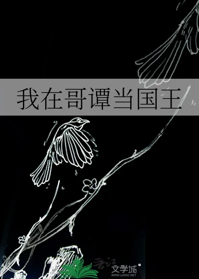 《我在哥谭当国王》小说封面
