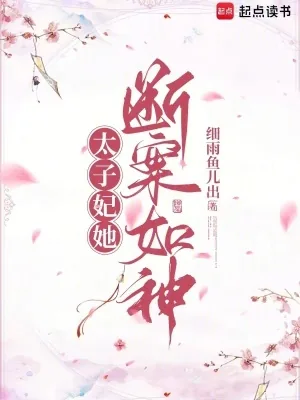 《太子妃她断案如神》小说封面