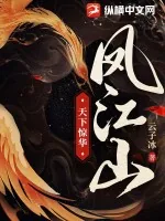 《凤江山:天下惊华》小说封面