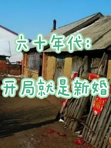《六十年代：开局就是新婚》小说封面