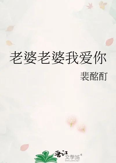 《老婆老婆我爱你》小说封面