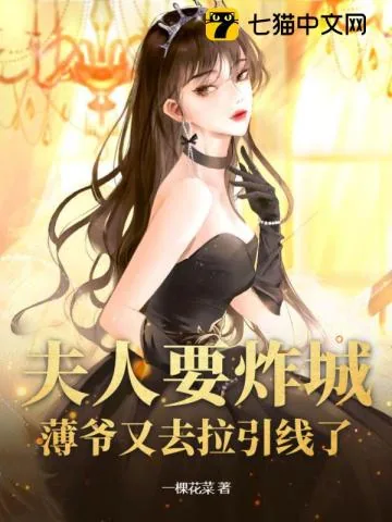 《夫人要炸城?薄爷又去拉引线了》小说封面