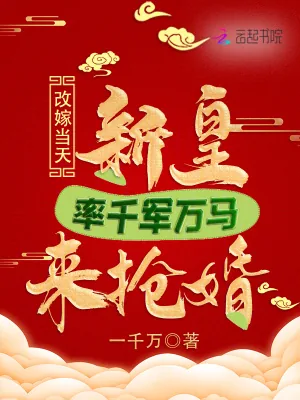 《改嫁当天，新皇率千军万马来抢婚》小说封面