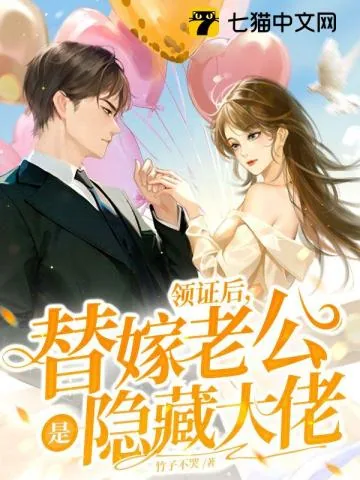《领证后，替嫁老公是隐藏大佬》小说封面