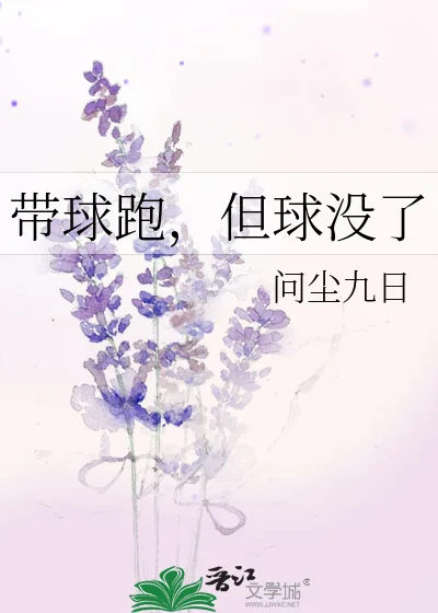 《带球跑,但球没了》小说封面