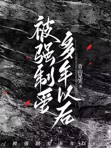 《被强制爱多年以后》小说封面