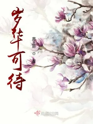 《岁华可待》小说封面